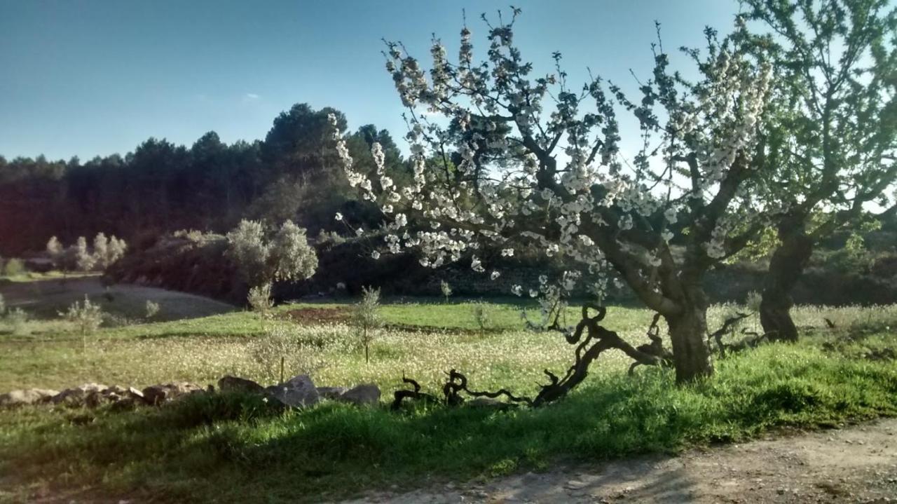 Casa Rumbet Horta de Sant Joan Exterior photo